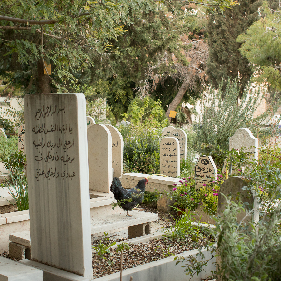Friedhof, Nazareth